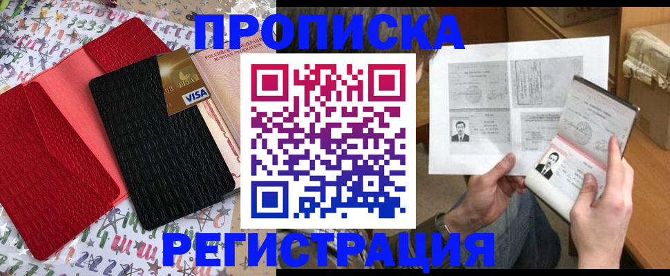 прописка поиск в Купино